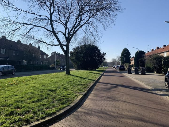 Foto 32 van Prinses Margrietplantsoen 77