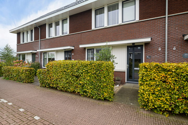 Foto 38 van Liobastraat 38