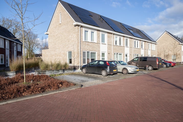 undefined main image