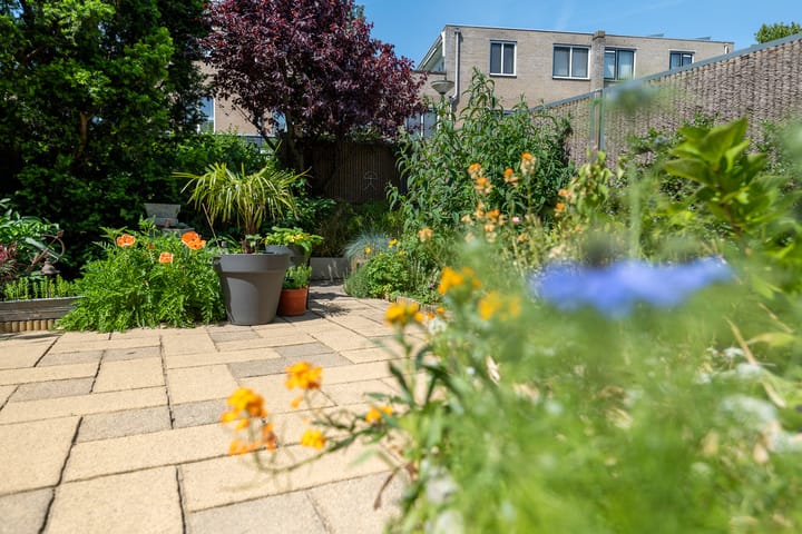 Foto 28 van Stoelenmatterhof 13