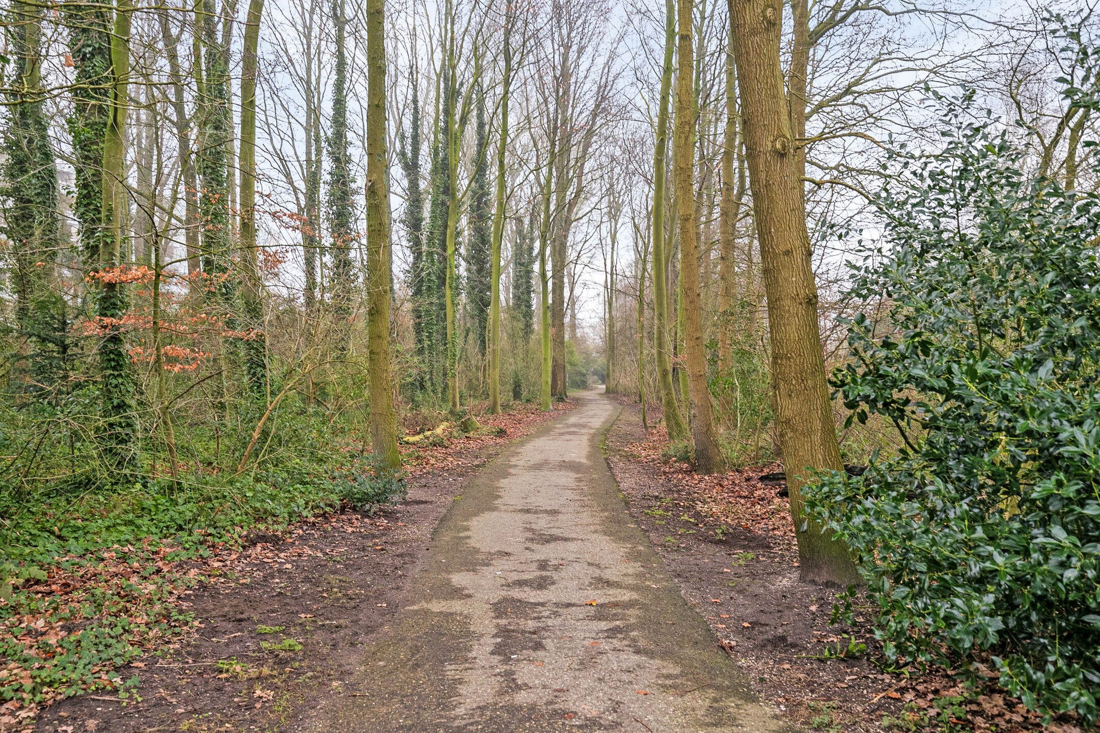 Foto 33 van Godijn van Dormaalstraat 35