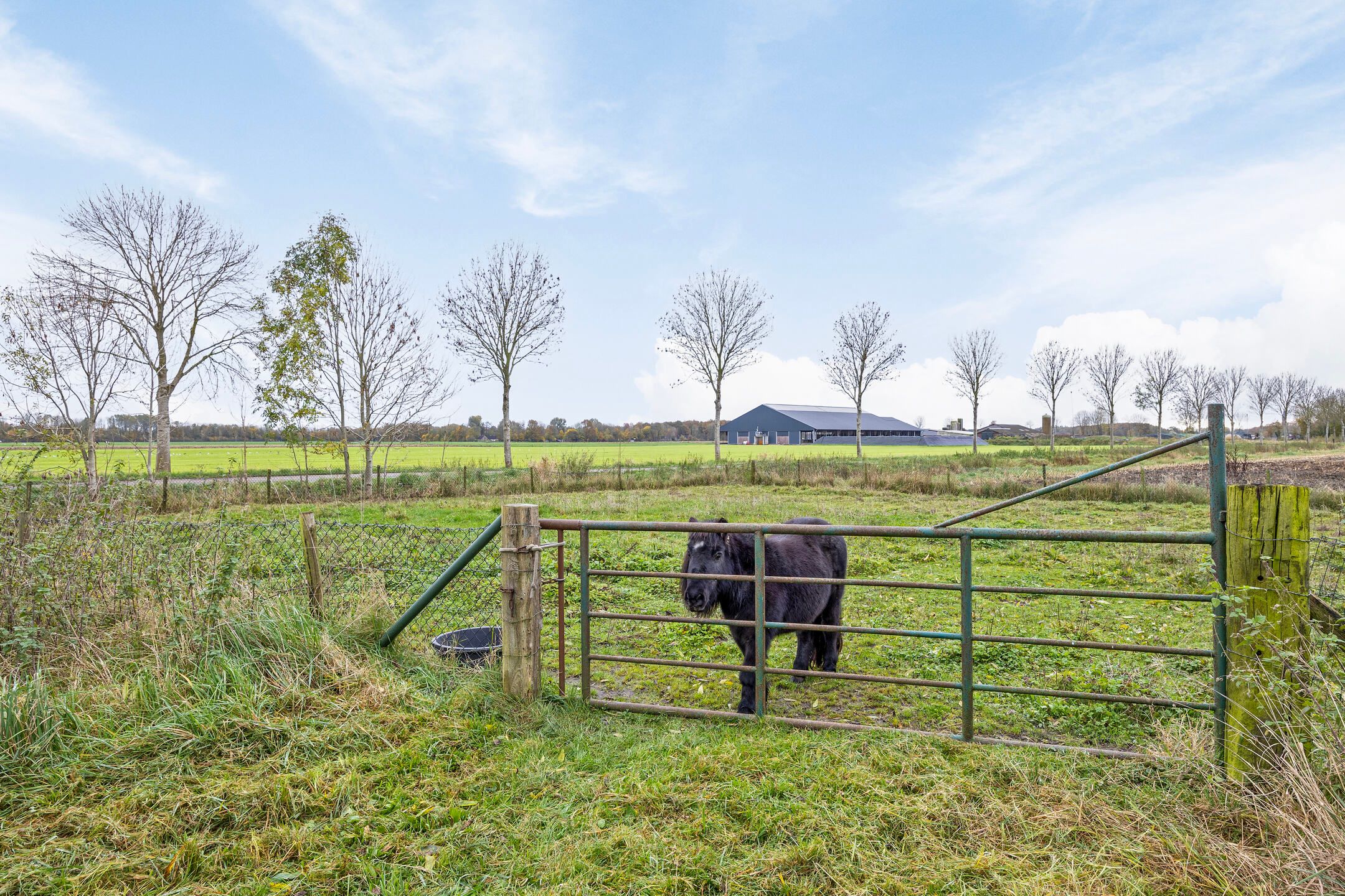 Foto 36 van Wijksestraat 17