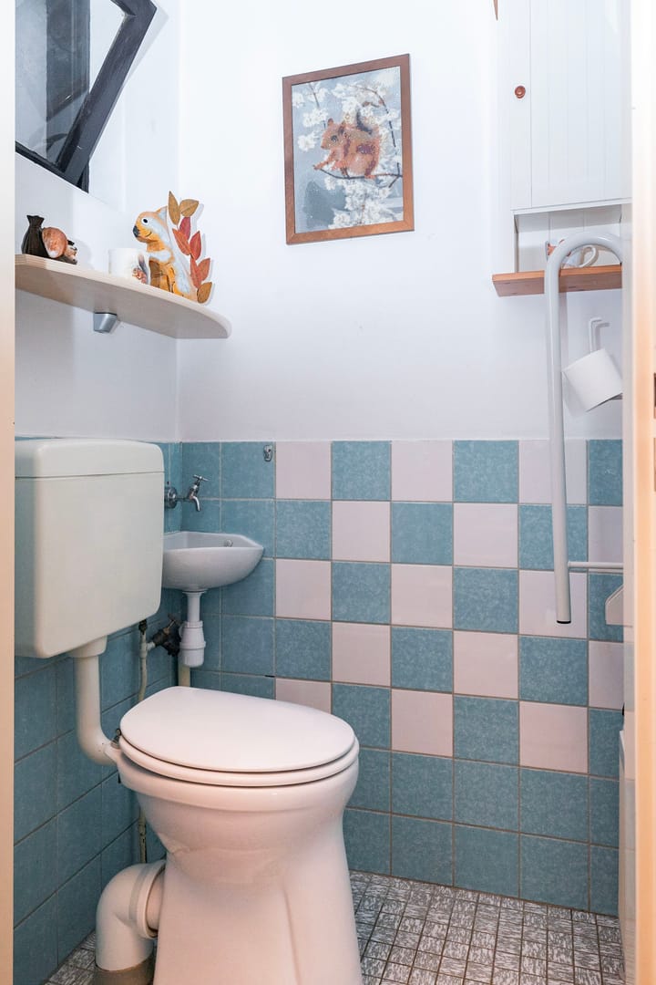 Foto 10 van Loenenseweg 49