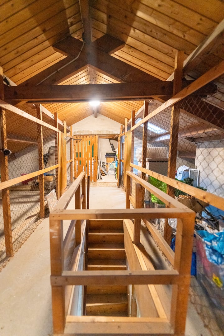 Foto 29 van Paul Scholtenweg 20