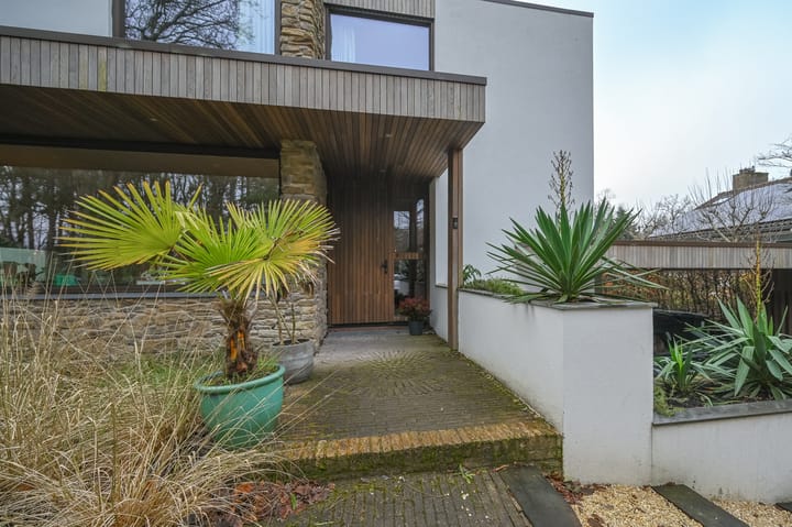 Foto 47 van Willinklaan 19