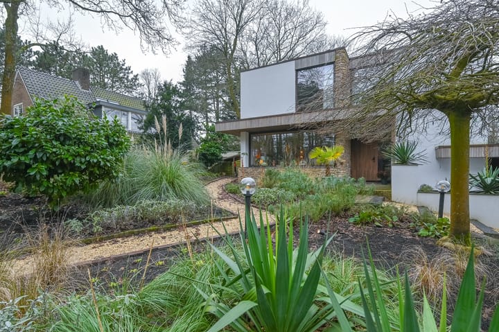 Foto 49 van Willinklaan 19