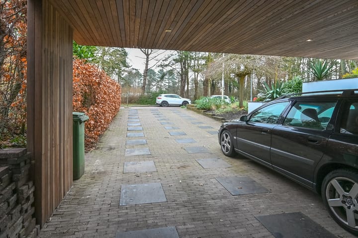 Foto 51 van Willinklaan 19