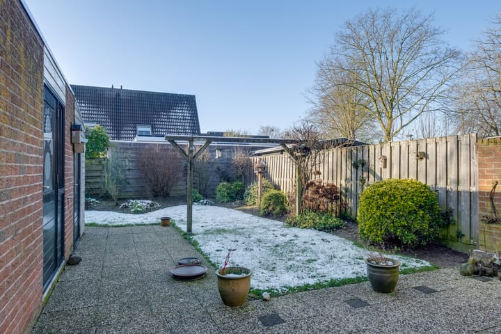 Foto 30 van Moerbeibloesem 71