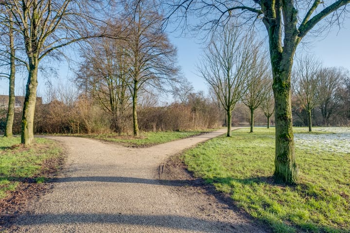 Foto 39 van Moerbeibloesem 71