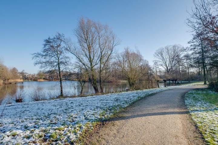 Foto 40 van Moerbeibloesem 71