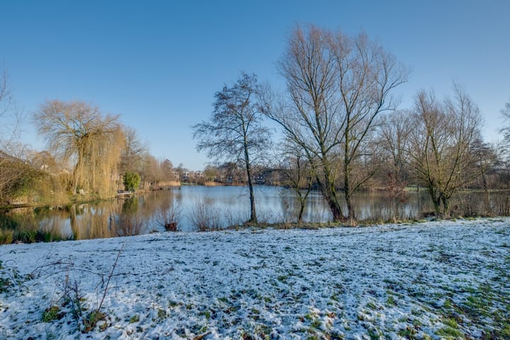 Foto 41 van Moerbeibloesem 71