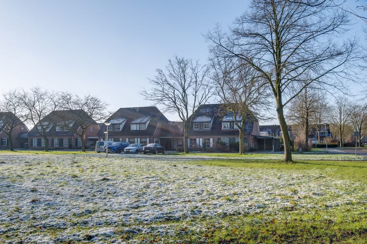 Foto 43 van Moerbeibloesem 71