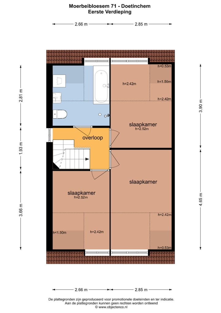 Foto 48 van Moerbeibloesem 71