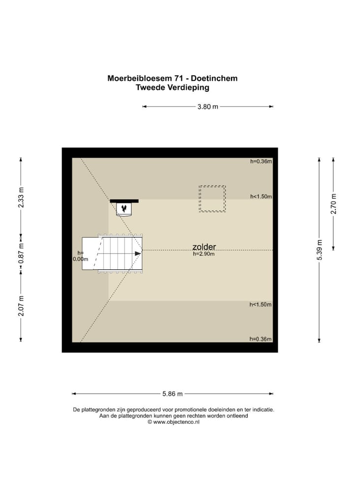 Foto 51 van Moerbeibloesem 71