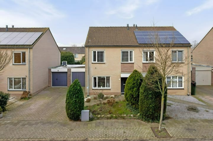 Foto 24 van Merel 12