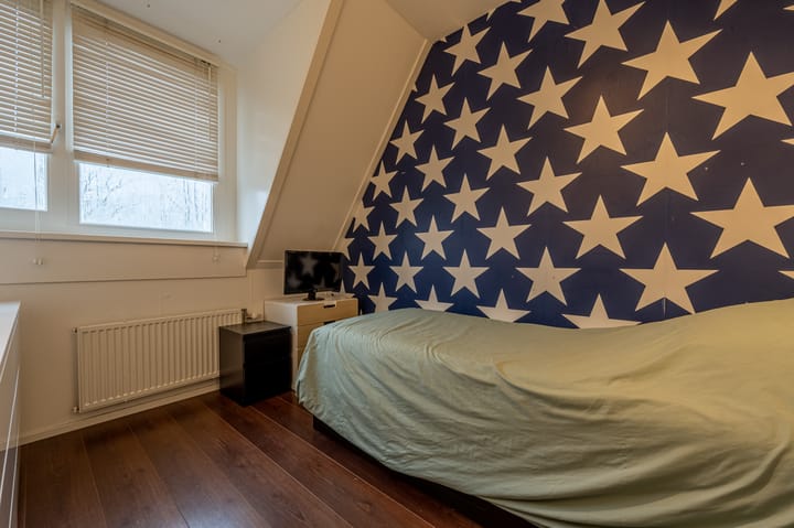 Foto 19 van Johannes Kolfstraat 47