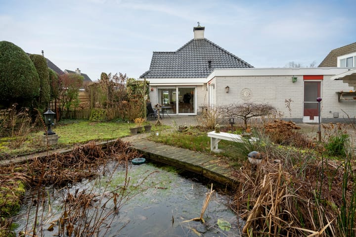 Foto 26 van Blauwe Reiger 14