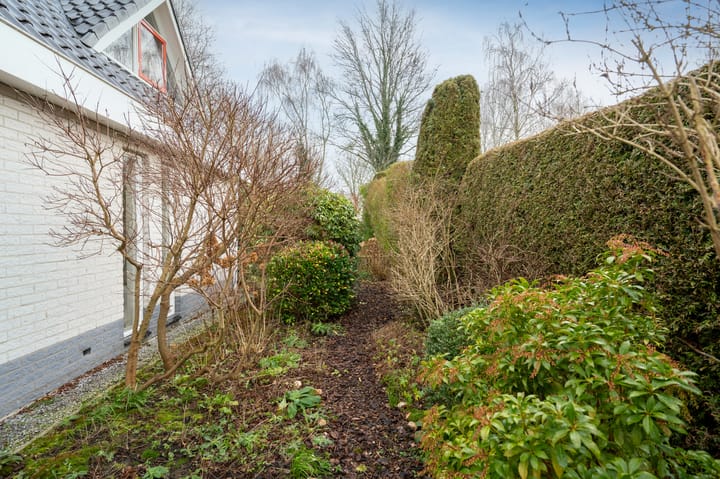 Foto 31 van Blauwe Reiger 14