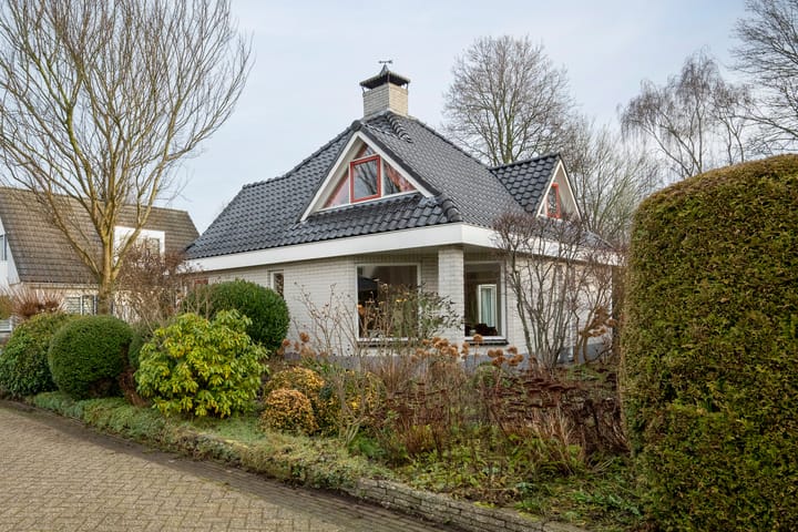 Foto 34 van Blauwe Reiger 14