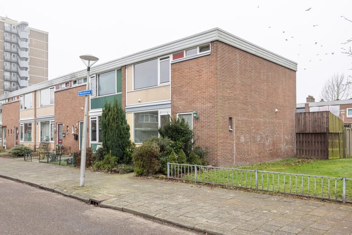 Foto 5 van Buizerdstraat 69