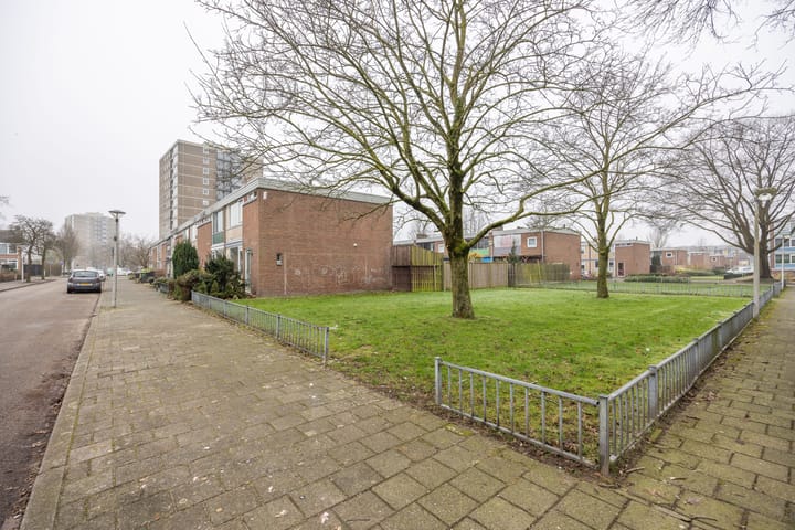 Foto 42 van Buizerdstraat 69