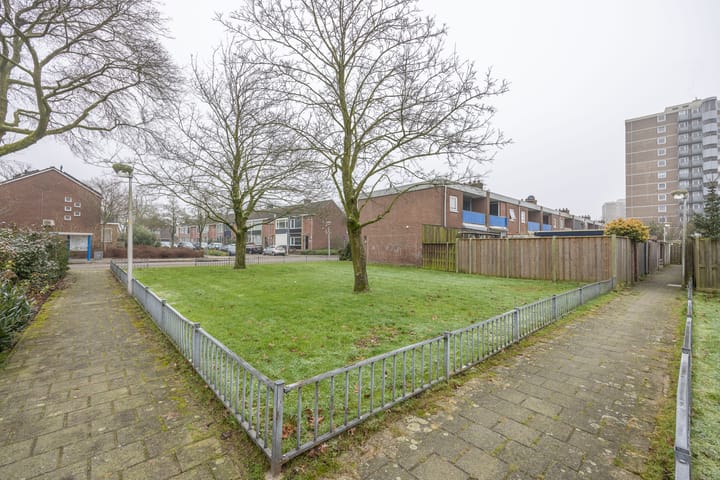 Foto 43 van Buizerdstraat 69