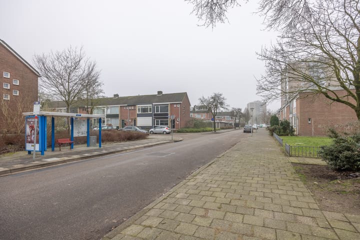 Foto 44 van Buizerdstraat 69