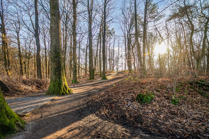 Foto 42 van Kerstendalseweg 1