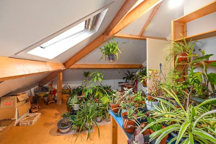 Foto 21 van Wiebengapad 5