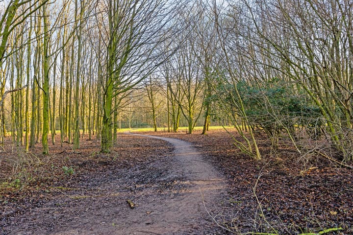 Foto 47 van De Pas 74