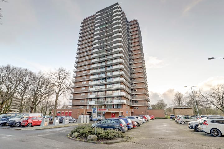 Foto 2 van Dunantstraat 1331