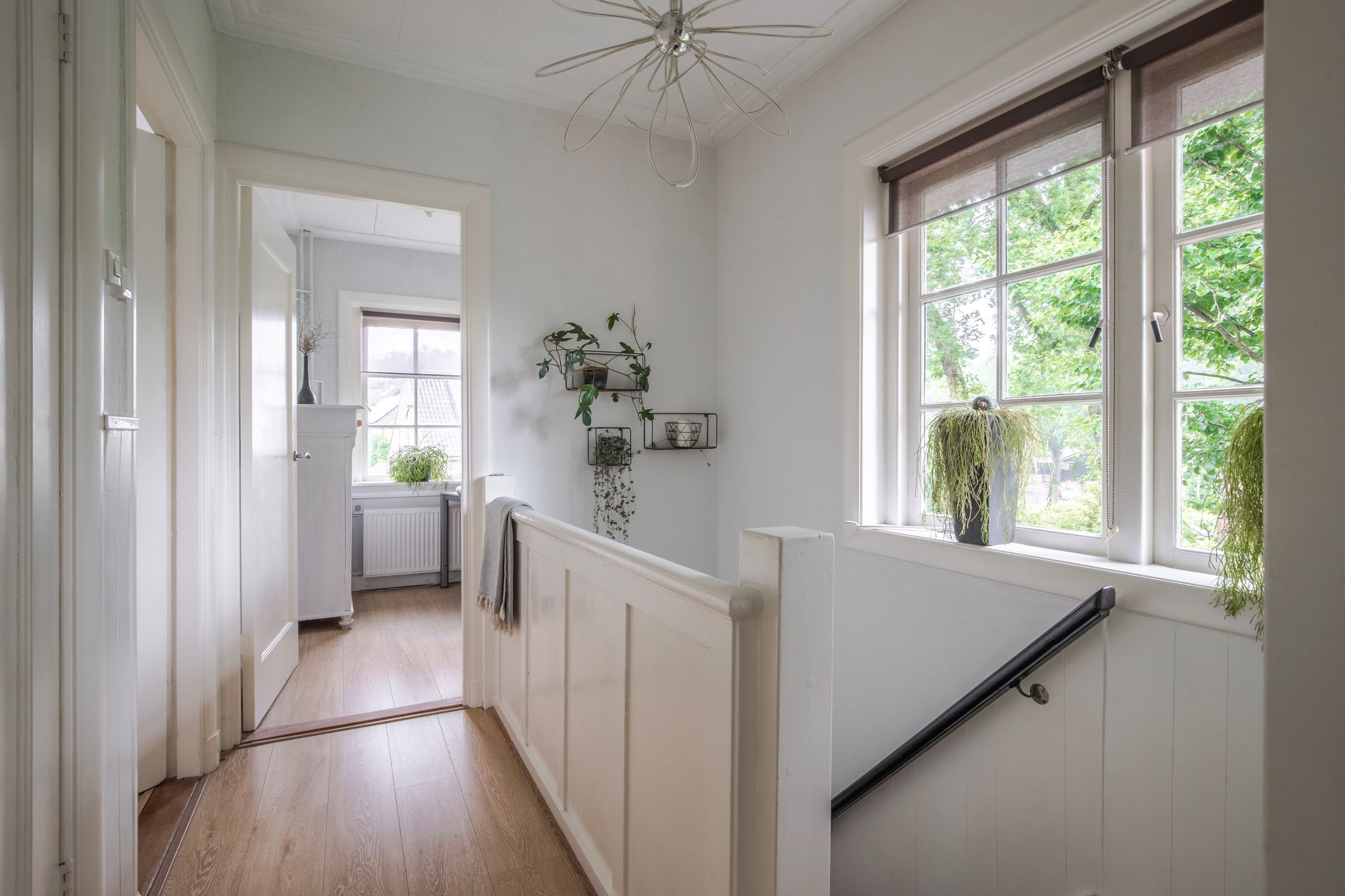 Photo 18 of Cardanuslaan 14