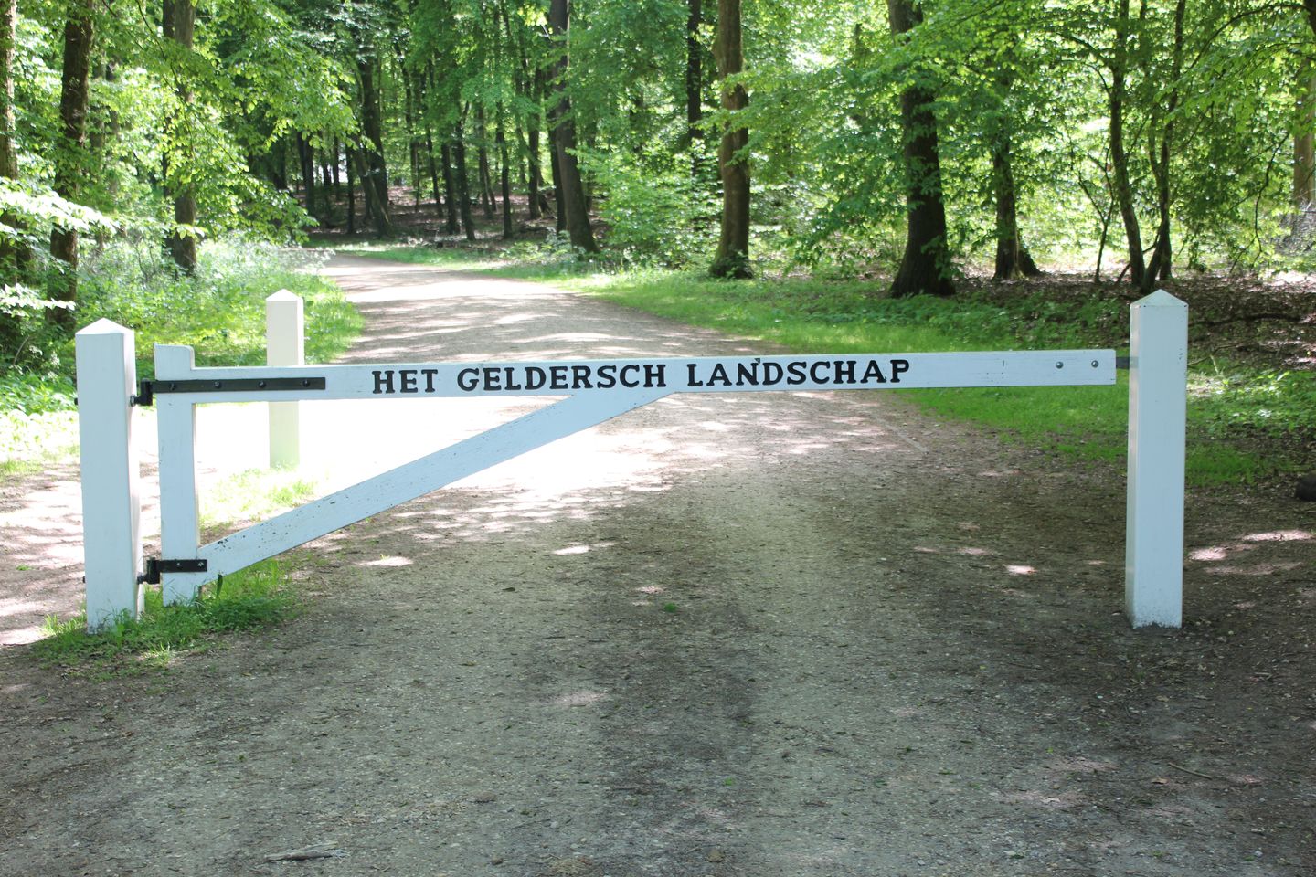 Photo 35 of Cardanuslaan 14