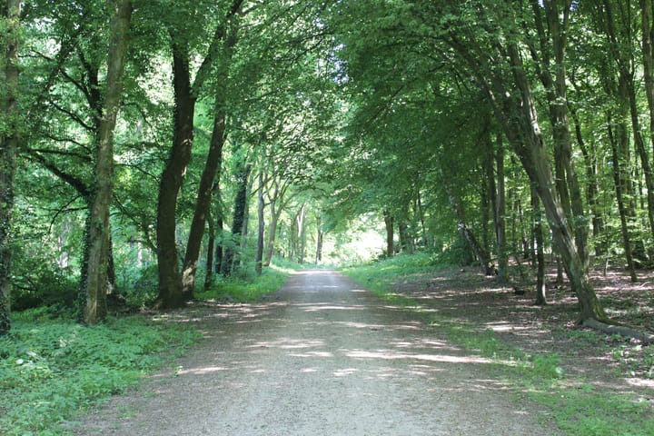 Foto 36 van Cardanuslaan 14