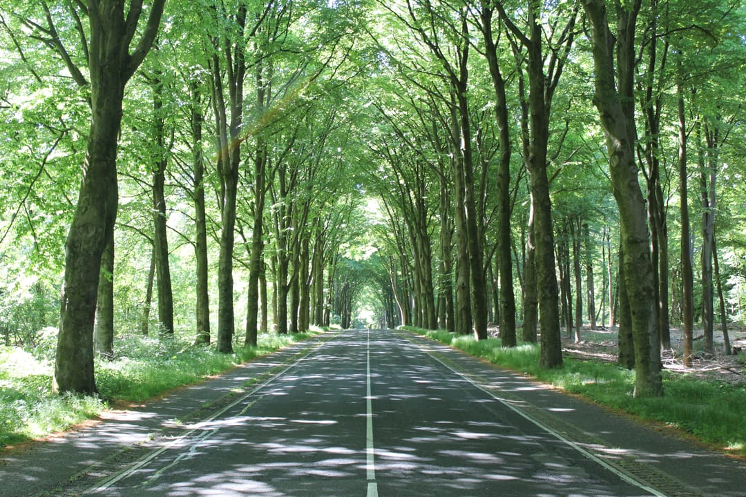 Photo 37 of Cardanuslaan 14