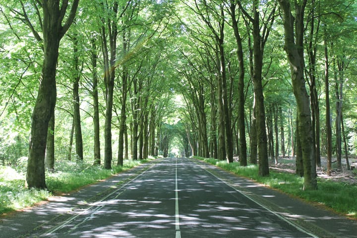 Foto 37 van Cardanuslaan 14