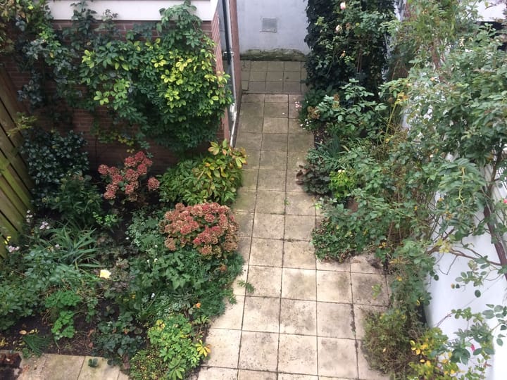 Foto 8 van 1e Daalsedijk 262