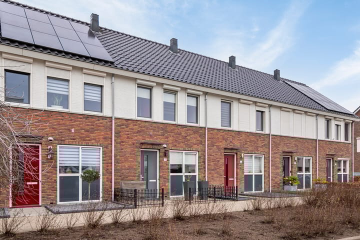 undefined main image