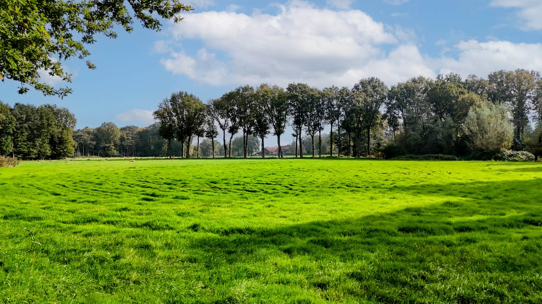 Foto 37 van Beekdal 17