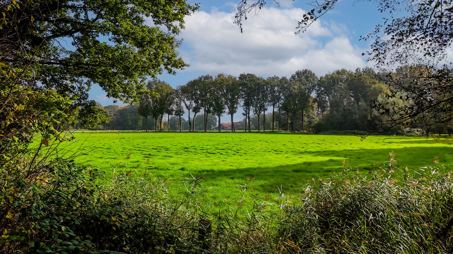 Foto 40 van Beekdal 17