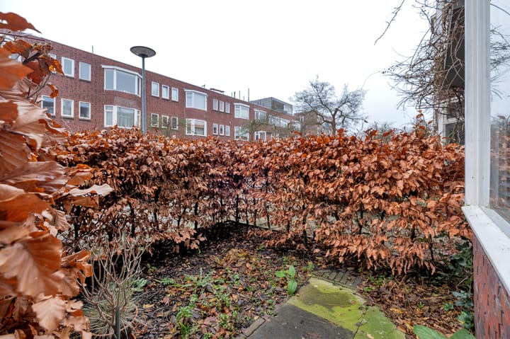 Foto 45 van Van Starkenborghstraat 73