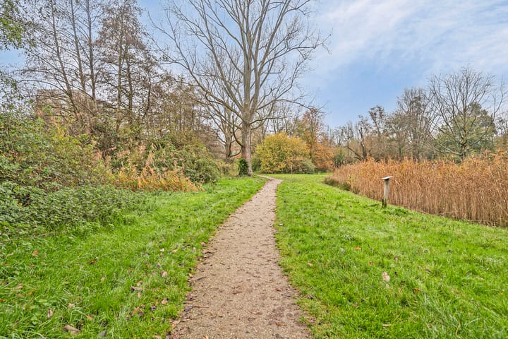 Foto 30 van Korhoenstraat 10