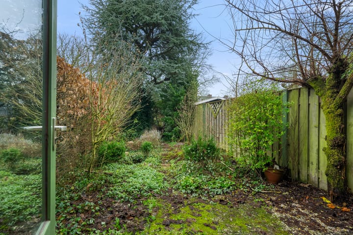 Foto 7 van Scharlakendoorn 22