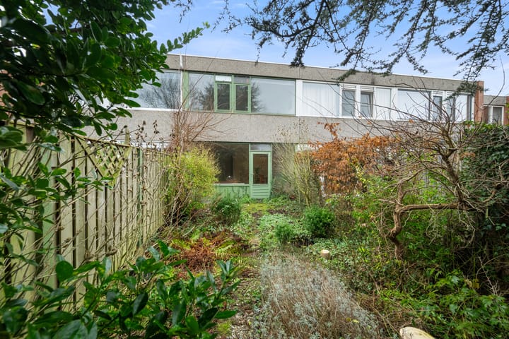 Foto 8 van Scharlakendoorn 22