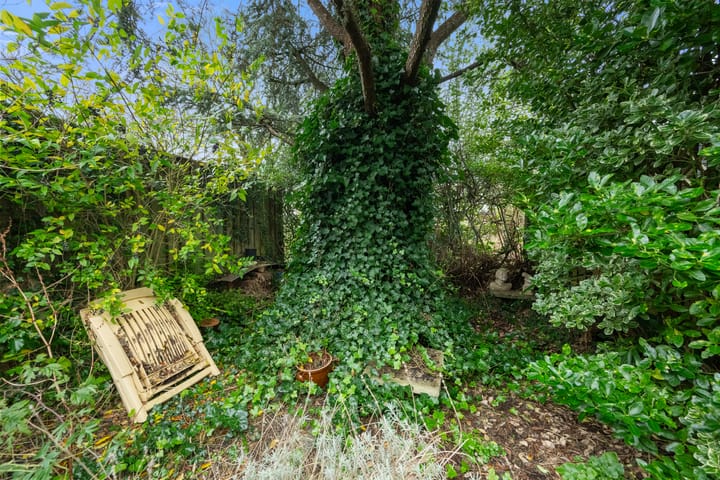 Foto 9 van Scharlakendoorn 22