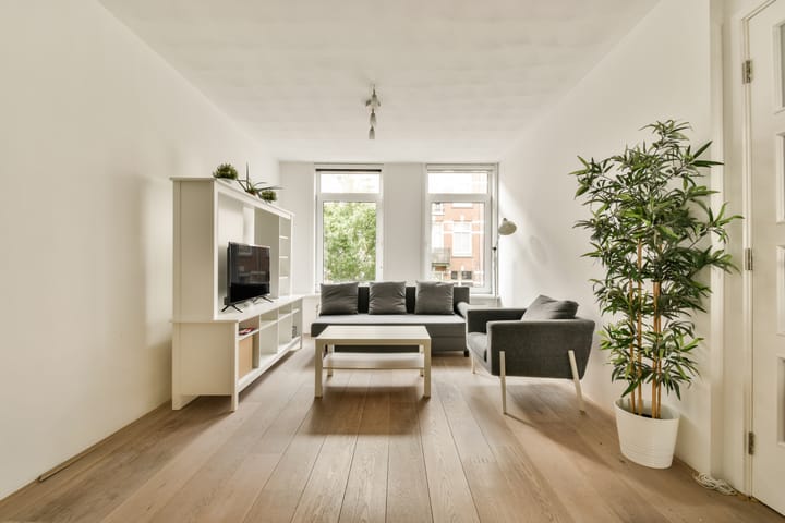 Foto 5 van Van Ostadestraat 165-H