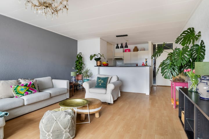 Foto 12 van Zaailand 74-D