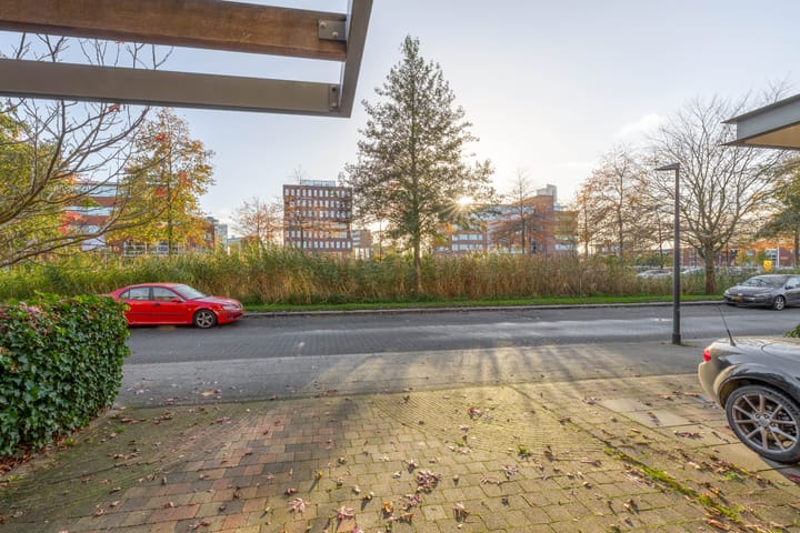 Foto 9 van Priamsingel 179