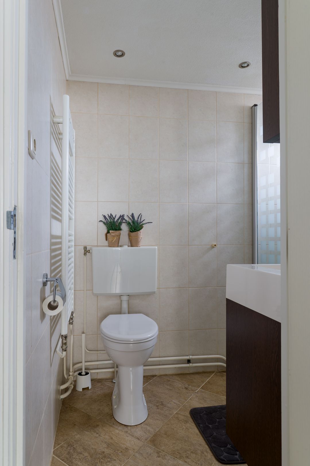 Foto 43 van Terheijlsterweg 15