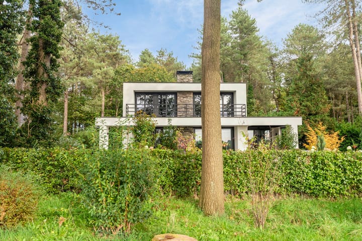 Photo 10 of De Stille Wille 35